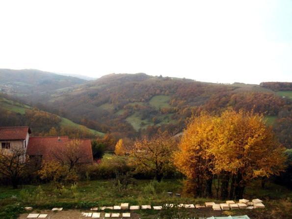 Cadre Paradisiaque Saint-Pierre-la-Palud エクステリア 写真